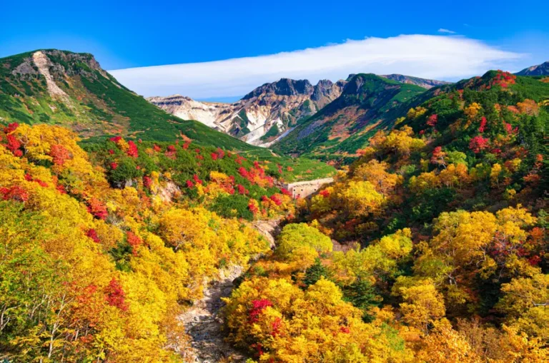 10 สถานที่ชมใบไม้เปลี่ยนสี ฮอกไกโด AUTUMN IN HOKKAIDO