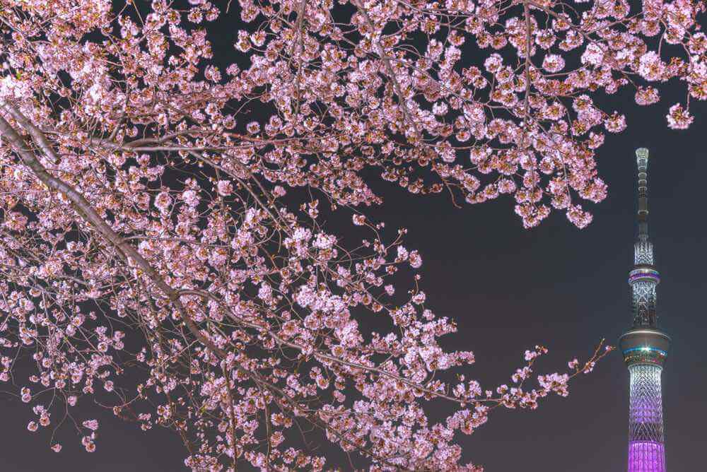 sumida-park