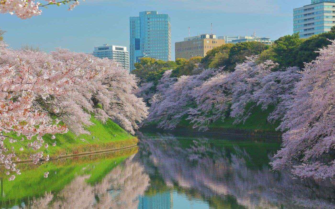 สวนจิโดริกาฟุจิ