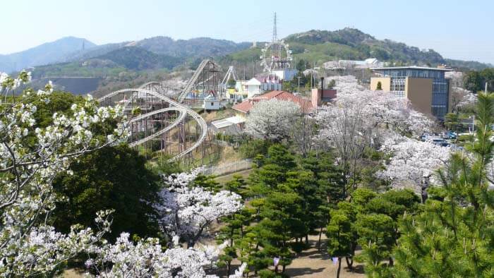 ไปชมซากุระกับ 5 สวนสนุกที่มีชื่อเสียงกัน! ได้ทั้งชมซากุระและสนุกไปกับเครื่องเล่นมากมาย!