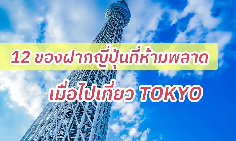 12 ของฝากญี่ปุ่นที่ห้ามพลาด เมื่อไปเที่ยวโตเกียว [อัพเดทปี 2569]