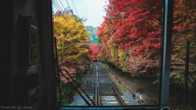 Autumn in Kyoto  ตอน นั่งรถไฟดูใบไม้แดง ชมแสงสียามค่ำคืนที่วัดน้ำใส