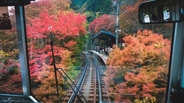 Autumn in Kyoto  ตอน นั่งรถไฟดูใบไม้แดง ชมแสงสียามค่ำคืนที่วัดน้ำใส