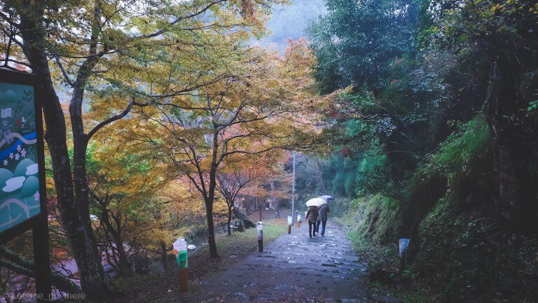 Autumn in Kyoto ตอน ตามรอยท่านโชกุนที่วัดทอง เดินทอดน่องชมใบไม้เปลี่ยนสีที่หมู่บ้านทาคาโอะ