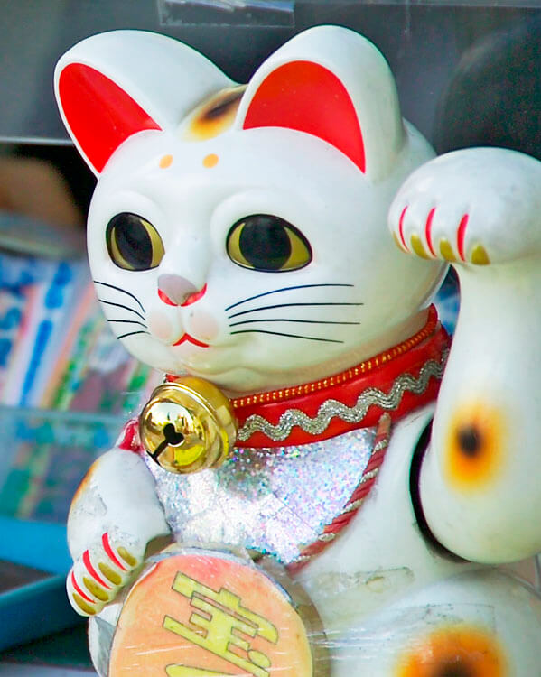 พาเที่ยวพิพิธภัณฑ์แมวกวัก ทำความรู้จักสัตว์นำโชคของชาวญี่ปุ่น