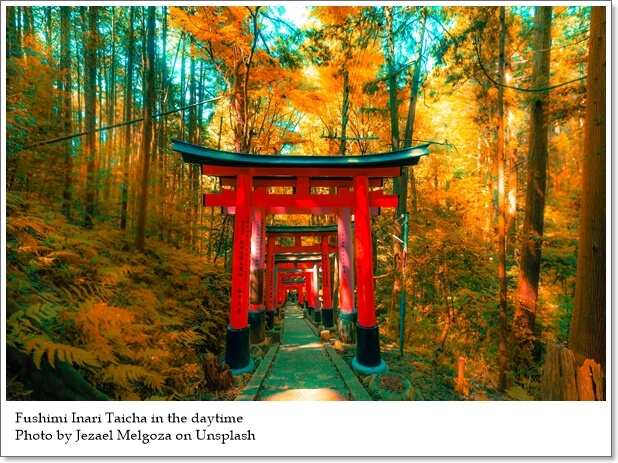 เที่ยวศาลเจ้าชินโตในญี่ปุ่น…ที่ไหนที่ไม่ควรพลาด!