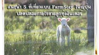 Farmstay Cover-0fe12384