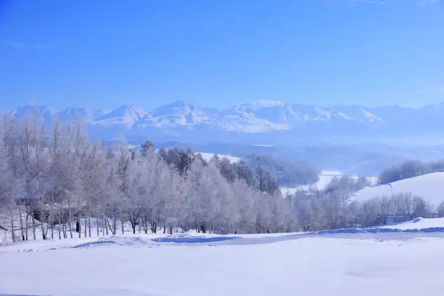 Hokkaido picture