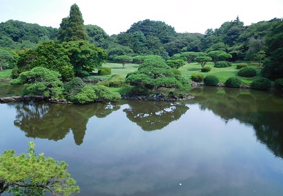 ชินจูกุเกียวเอ็น สวนสาธารณะกลางเมืองที่สามารถเพลิดเพลินได้ทั้งสี่ฤดู”