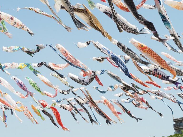 ปลาคาร์ฟว่ายทวนกระแสน้ำแห่งเมืองทาคาสึกิ : เทศกาลธงปลาคาร์ฟ Koi no Bori Festa