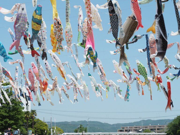 ปลาคาร์ฟว่ายทวนกระแสน้ำแห่งเมืองทาคาสึกิ : เทศกาลธงปลาคาร์ฟ Koi no Bori Festa