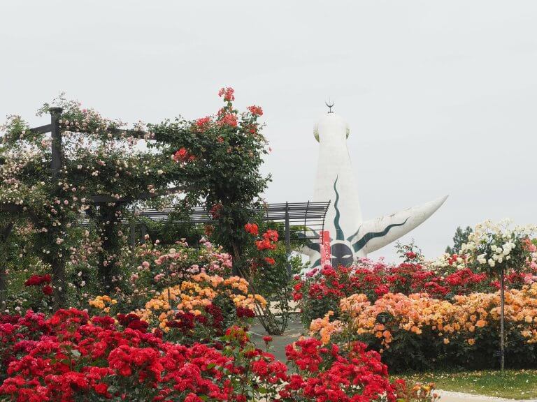 พาชมเทศกาลดอกกุหลาบของเมืองโอซาก้า