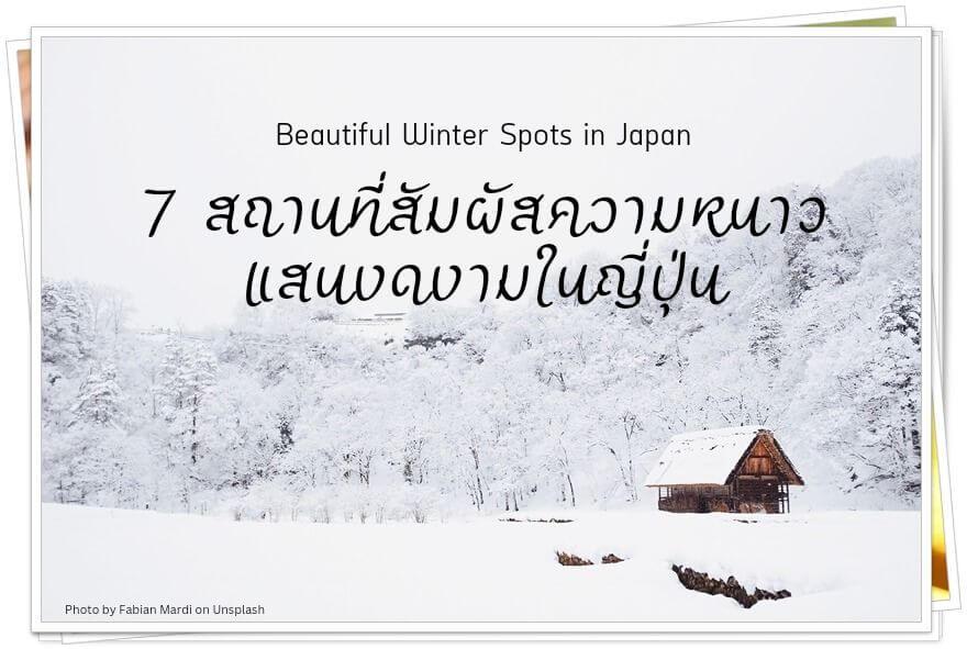 Winter Spots_cv-107266c0
