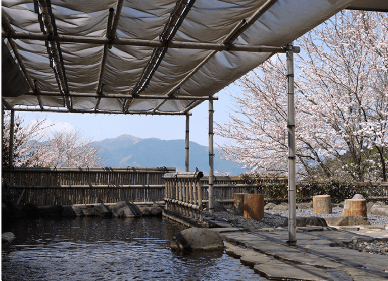 แนะนำสถานที่แช่น้ำพุร้อนท่ามกลางซากุระ