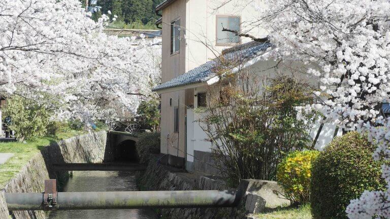 พาชมดอกซากุระบนถนนสายนักปราชญ์เทะสึกะขุโนะมิจิไปจนถึงเส้นทางขนส่งสายเก่าที่สถานีเคะอาเงะ