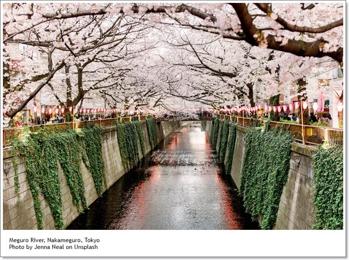ที่เที่ยว(ไม่)ลับ…ให้คุณเที่ยวญี่ปุ่นเหมือนเป็นคนญี่ปุ่น (Part I – In a Heart of Tokyo City)