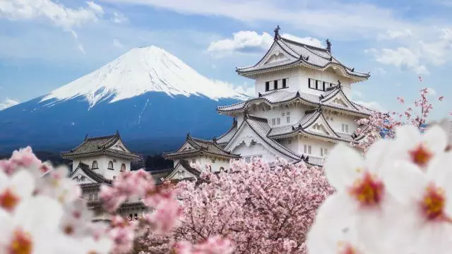 Sakura Japan image