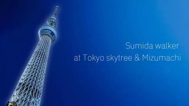 Tokyo Skytree top
