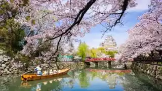 ปราสาทฮิเมจิ (Himeji Castle), เฮียวโงะ